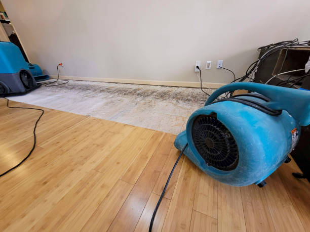 Professional Emergency Water Damage technician working in Springfield, LA